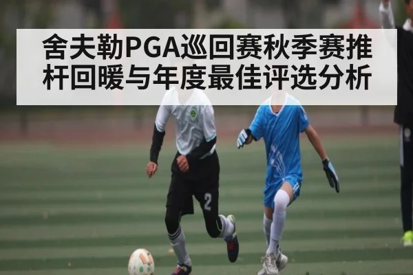舍夫勒PGA巡回赛秋季赛推杆回暖与年度最佳评选分析